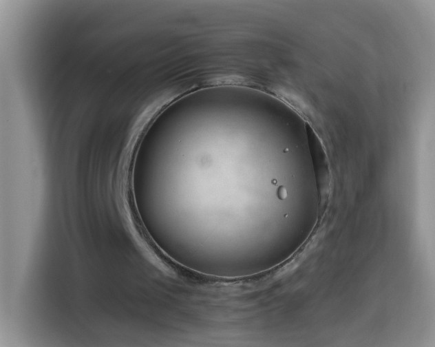 X0000114140049200910081313