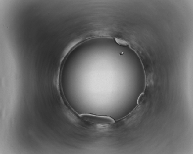 X0000114140052200910081313