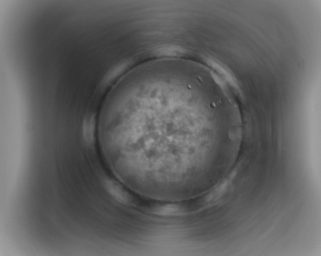 X0000114140058200910081313