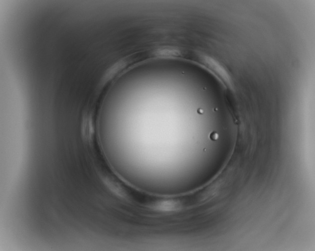 X0000114140059200910081313