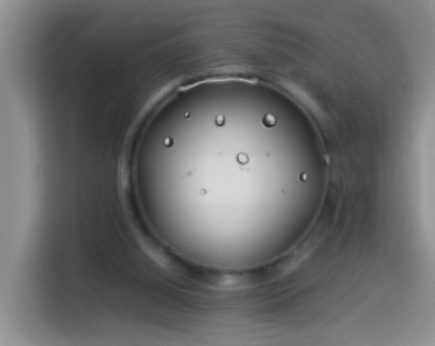 X0000114140060200910081313