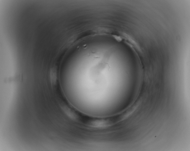 X0000114140065200910081313