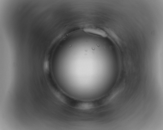 X0000114140067200910081313