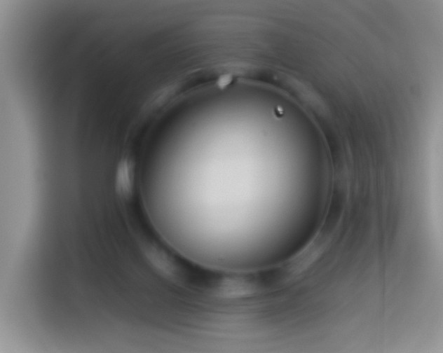 X0000114140070200910081313