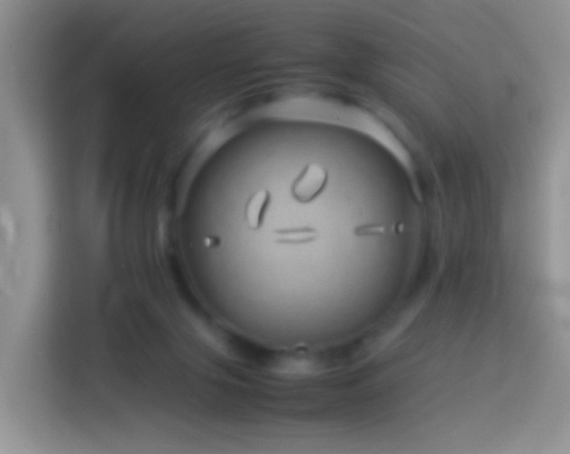 X0000114140071200910081313