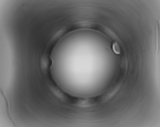 X0000114140072200910081313