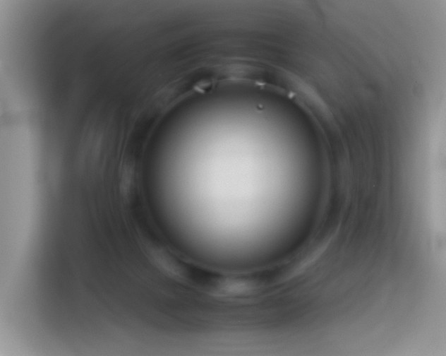 X0000114140073200910081313