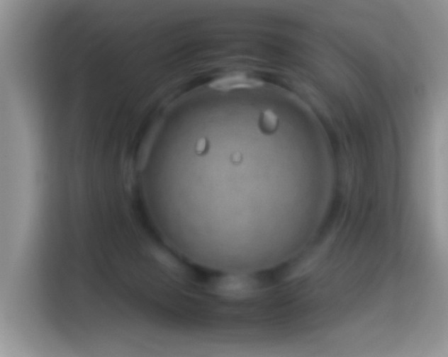 X0000114140077200910081313