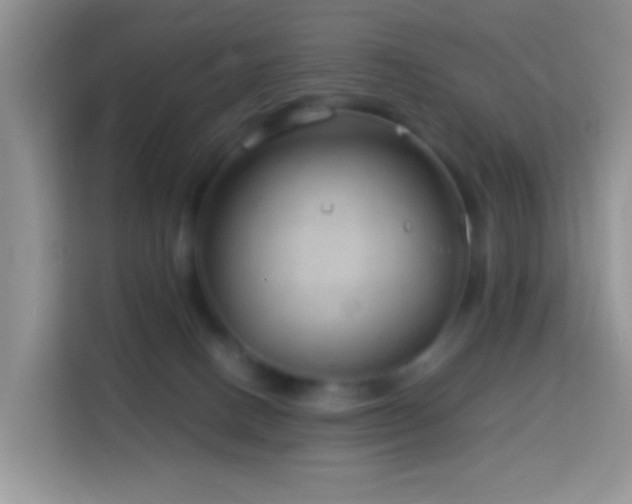 X0000114140082200910081313