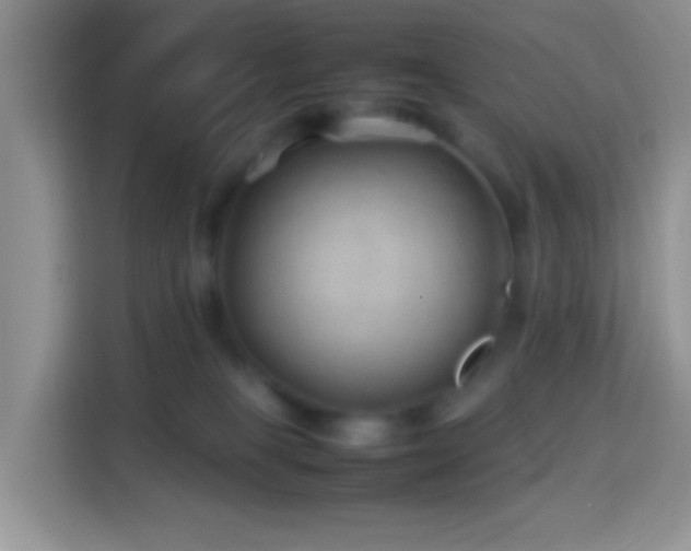 X0000114140085200910081313