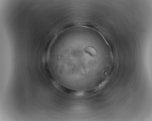 X0000114140090200910081313