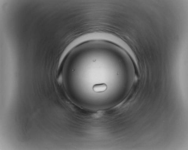 X0000114140092200910081313