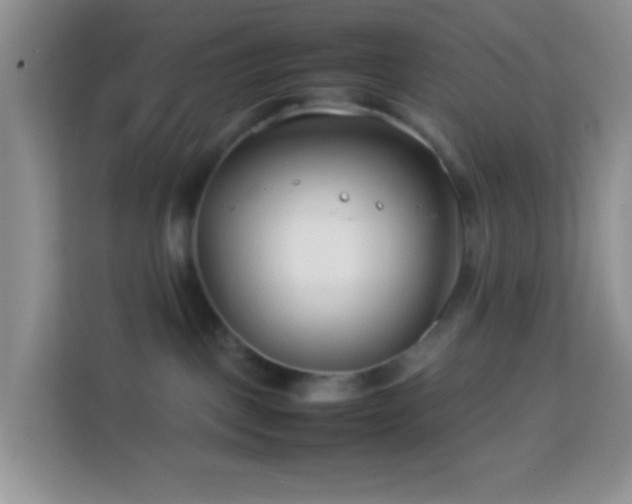 X0000114140093200910081313