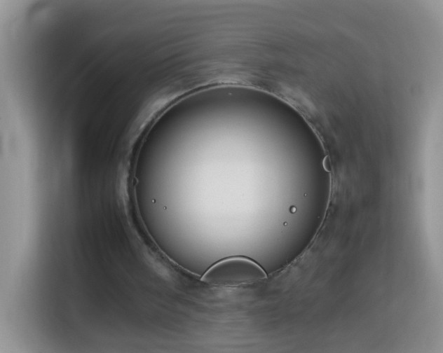 X0000114140098200910081313