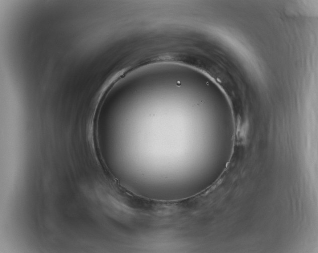 X0000114140099200910081313