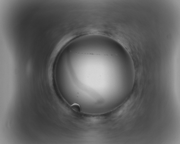 X0000114140103200910081313