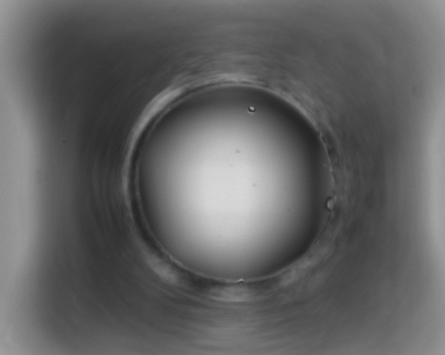 X0000114140104200910081313