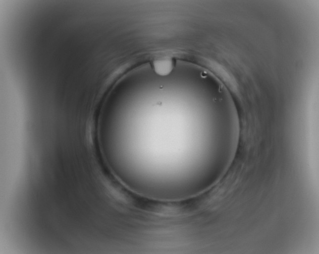 X0000114140107200910081313