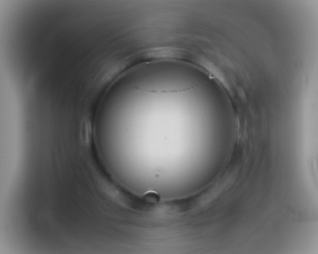 X0000114140109200910081313