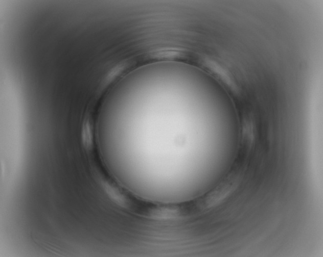 X0000114140110200910081313