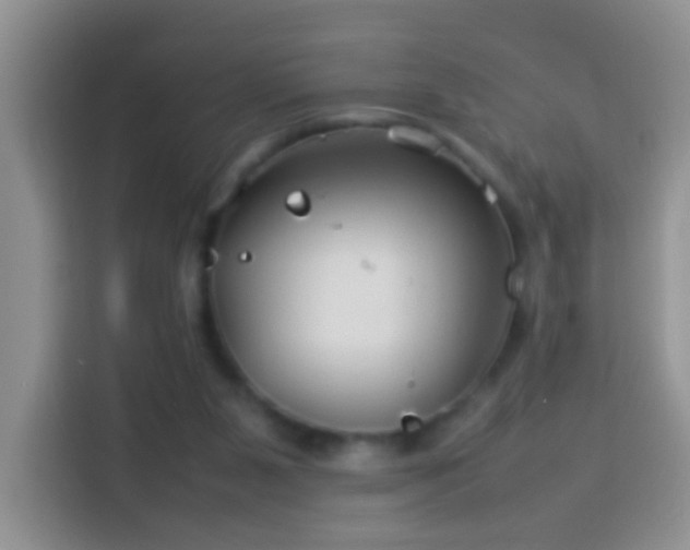 X0000114140111200910081313