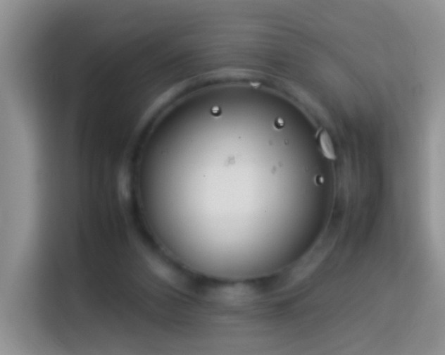 X0000114140112200910081313