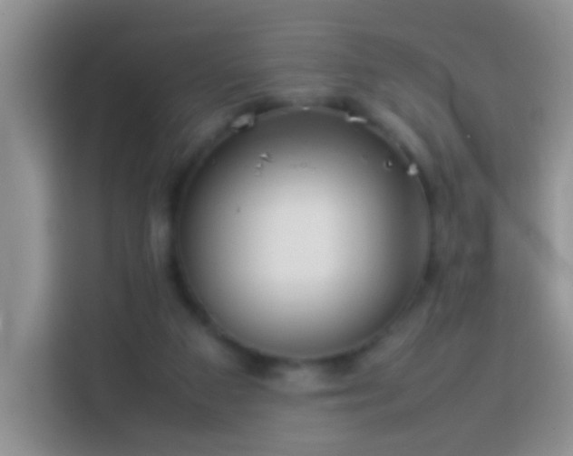 X0000114140113200910081313