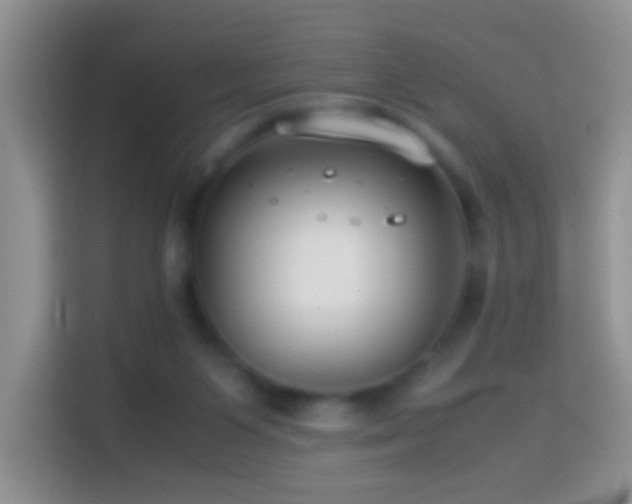 X0000114140119200910081312