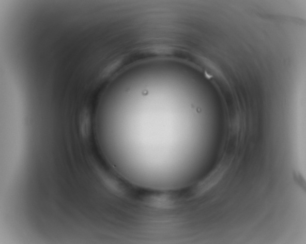 X0000114140120200910081312