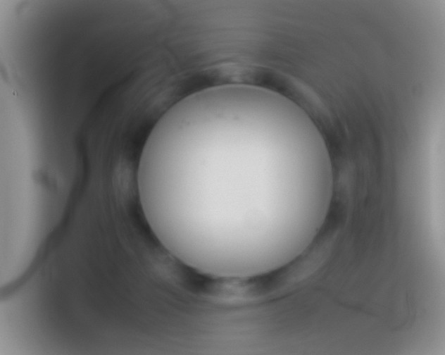 X0000114140121200910081312