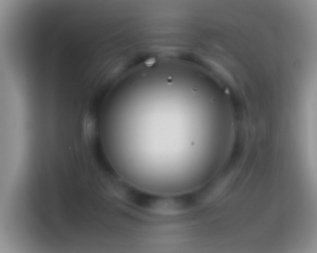 X0000114140123200910081312