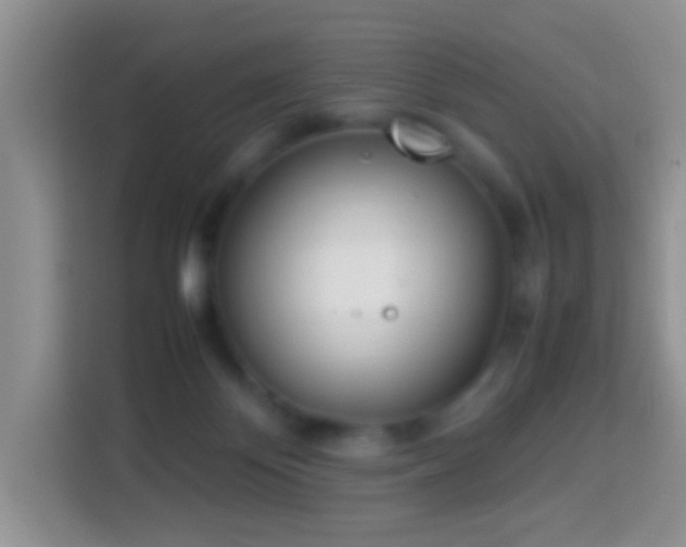 X0000114140124200910081312