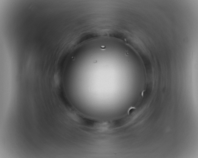 X0000114140131200910081312