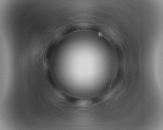 X0000114140135200910081312