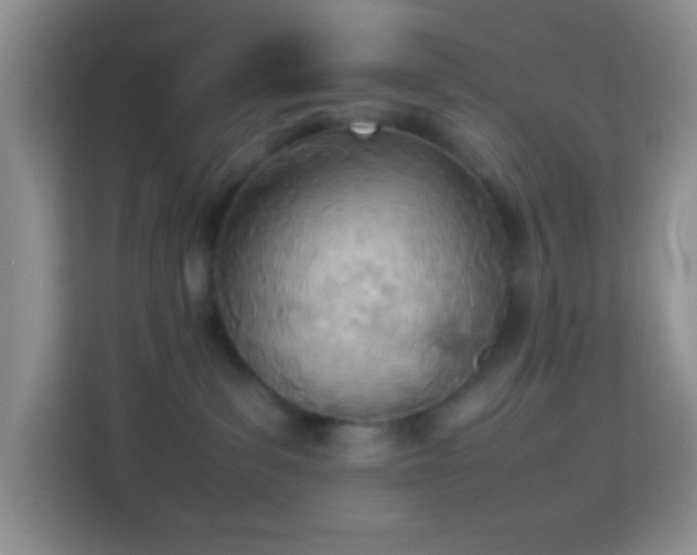 X0000114140139200910081312