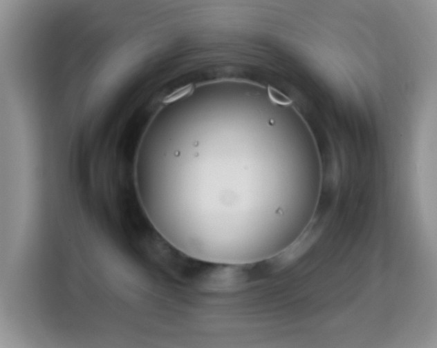 X0000114140140200910081312