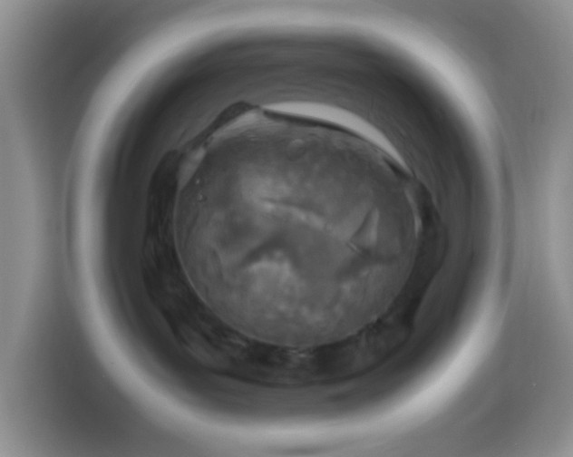 X0000114140143200910081312