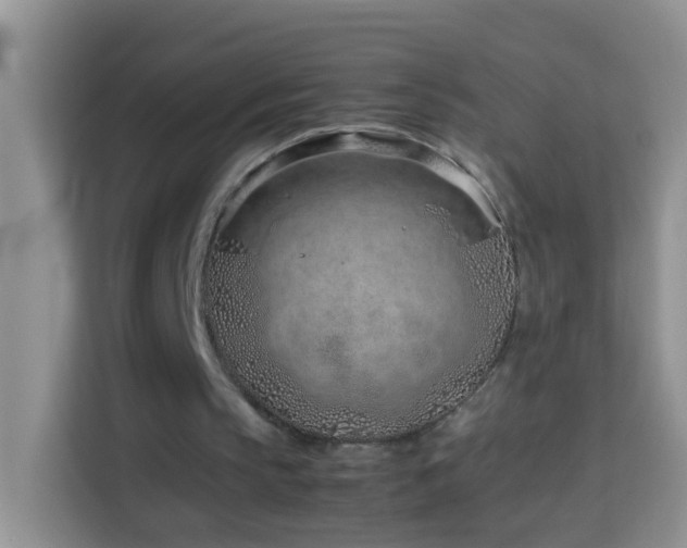 X0000114140145200910081312