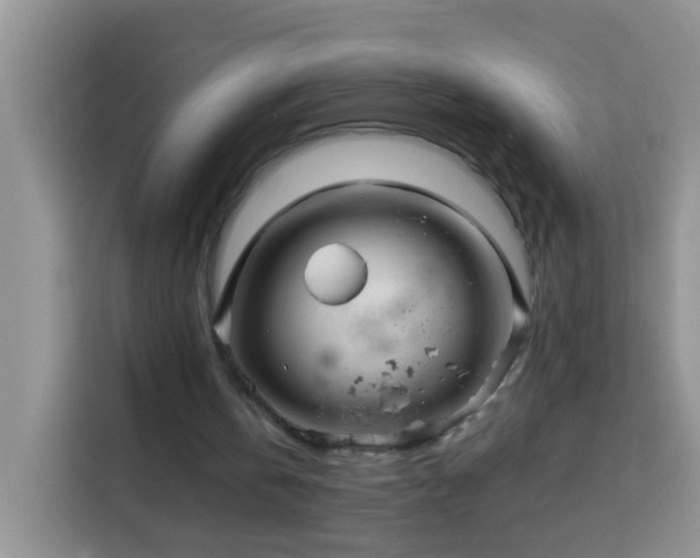 X0000114140146200910081312