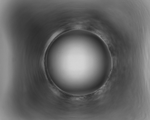 X0000114140147200910081312