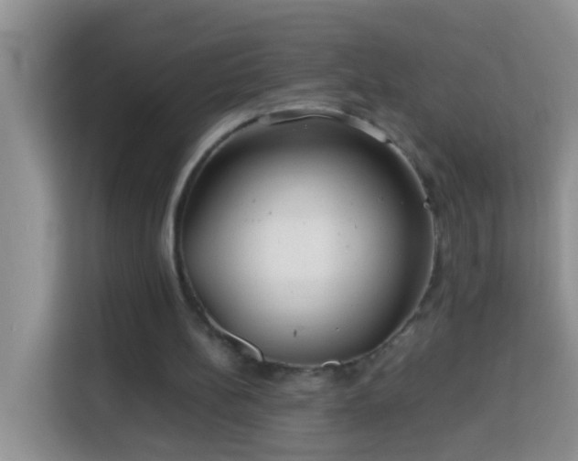 X0000114140148200910081312