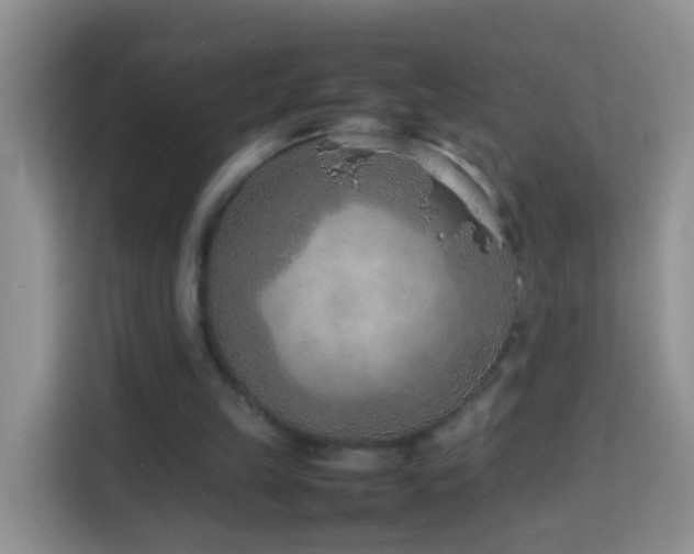 X0000114140149200910081312