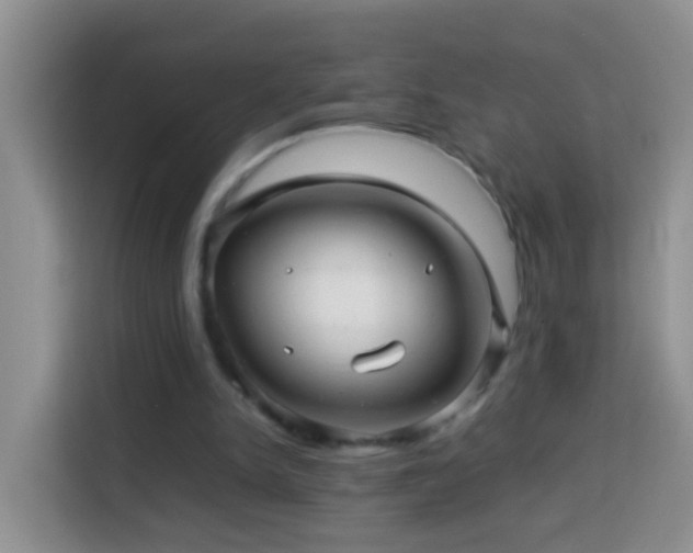 X0000114140150200910081312