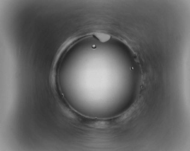 X0000114140152200910081312