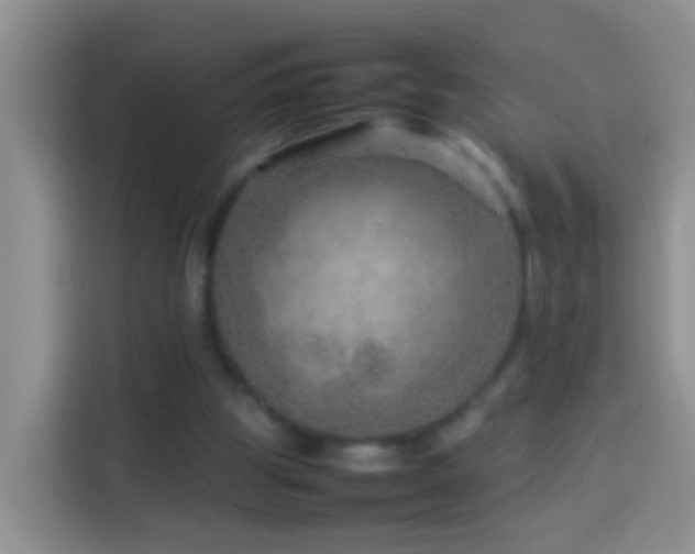 X0000114140153200910081312