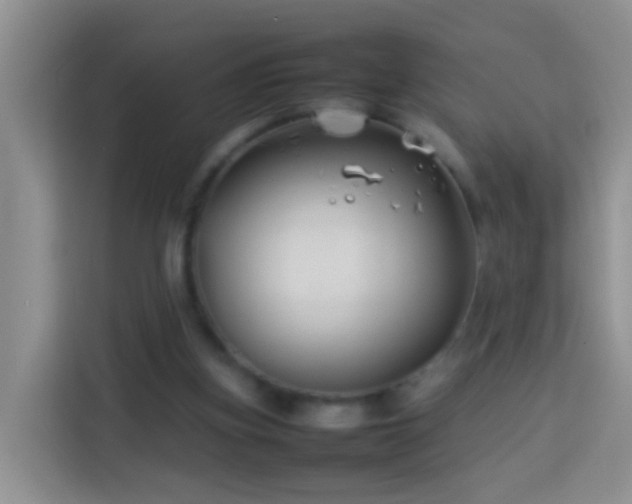 X0000114140155200910081312