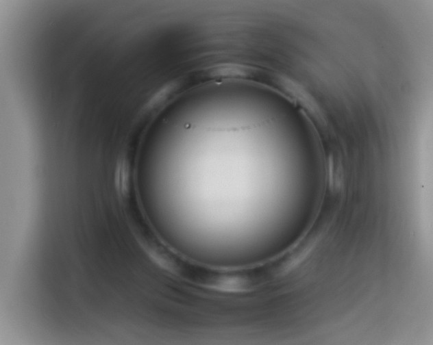 X0000114140157200910081312