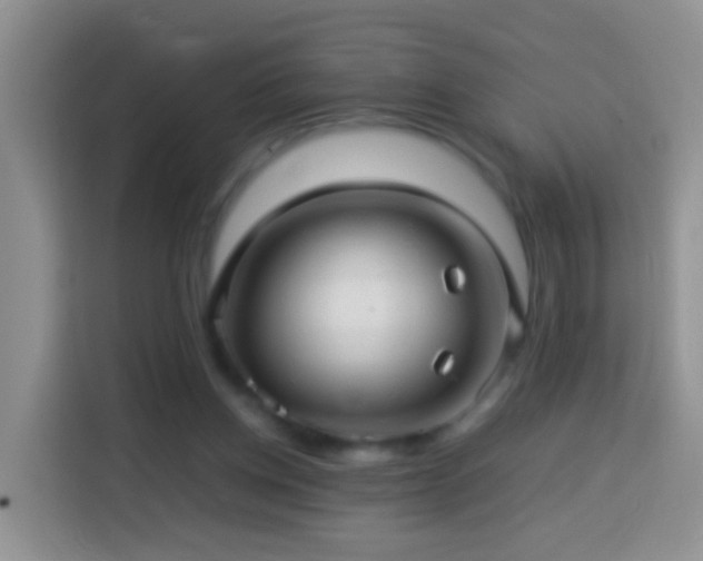 X0000114140158200910081312