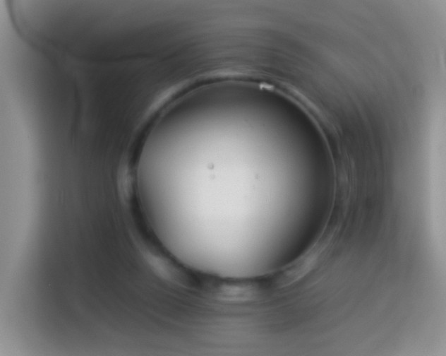 X0000114140160200910081312