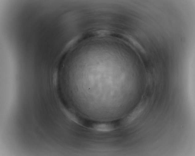 X0000114140163200910081312